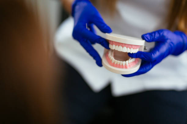 Covedale, OH Holistic Dental Care Services Company